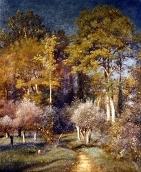 In einer Ecke des Waldes