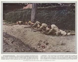 Schottische Infanterie