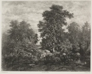 Der Teich, nach Théodore Rousseau (1812-67)