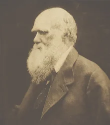 Charles Darwin, 1868, gedruckt ca. 1893