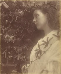 Maud, es ist eine prächtige Träne gefallen von der Passionsblume am Tor