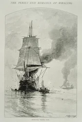 Walfänger beim Zerlegen eines Wals und Einholen seines Fleisches, für 