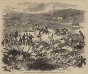 Das Schlachtfeld der Tschernaja, Begräbnis der Toten