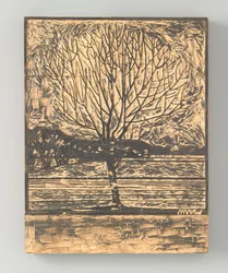 Kahler Baum