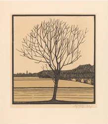 Kahler Baum