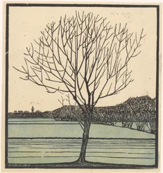 Kahler Baum