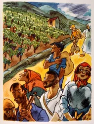 Französischer Weinberg. 1944. Illustration von Julien Pavil