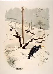 Humorvolle Wein-Illustration 1946. Illustration von Julien Pavil
