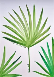 Tropisches Palmblatt