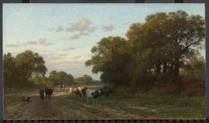Landschaft in Drenthe