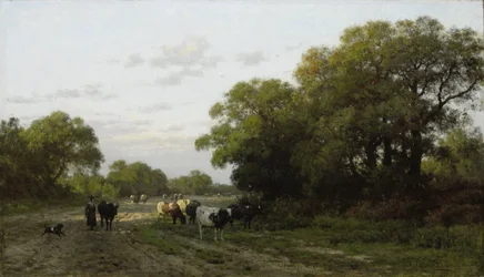 Landschaft in Drenthe