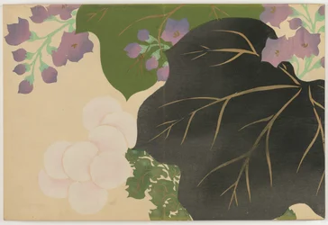 Blumen von Hundert Welten: Chrysantheme und Paulownia