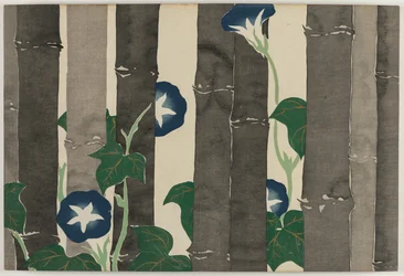Blumen von hundert Welten (Momoyogusa): Prunkwinden
