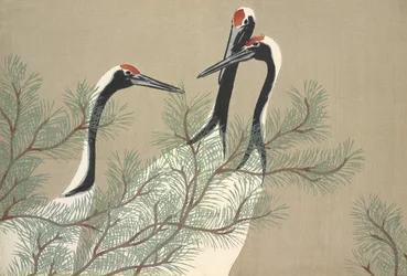 Tsuru, aus Momoyo-gusa