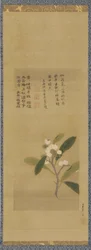 Ein Zweig von Loquats, Edo-Periode