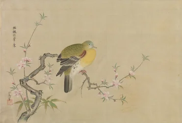 Album mit Kopien chinesischer Gemälde, 17. Jahrhundert