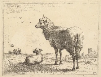 Ein ausgewachsenes Schaf in Dreiviertelansicht stehend und nach links schauend, daneben liegt ein Lamm, ca. 1655