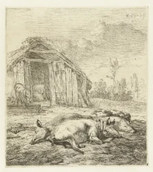 Drei Schweine vor einem Stall