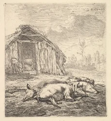 Drei Schweine, die auf der Seite liegen, 1652