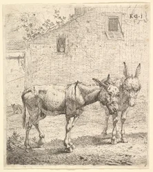 Zwei Esel, die in einem grasbewachsenen Hof stehen, einer im Profil nach rechts und ein anderer dahinter (1652)