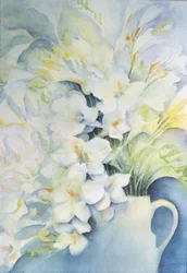 Freesie, Aurora und Ballerina in einem weißen Krug