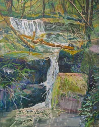 Waldwasserfall mit Katze