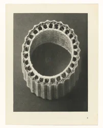 Pflanzenstudien (Urformen der Kunst: photographische Pflanzenbilder)