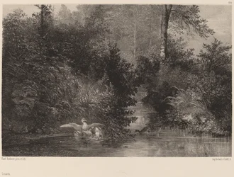 Enten, 1861-1866