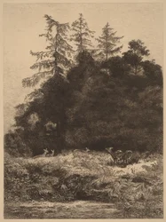 Damhirsche in einem Park