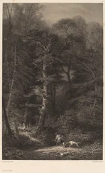 Waldinneres