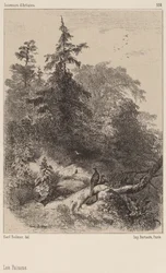 Die Fasane