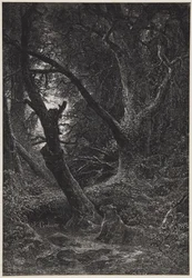 Zwei Bären im Wald