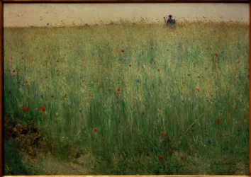 Haferfelder bei Grez