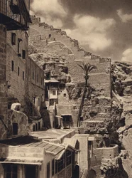Mar Saba, Palme des Heiligen Sabas (s/w Foto)