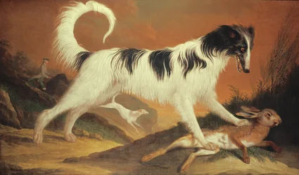Hund und Hase
