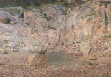 Der Geier im Felsengestein