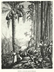 Ufer des Mahmoudiyah-Kanals, Ägypten