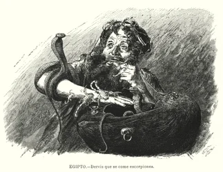 Derwisch, der Skorpione isst, Ägypten