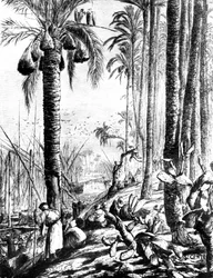 Ränder des Kanals, Mahmoudiyeh, 1880