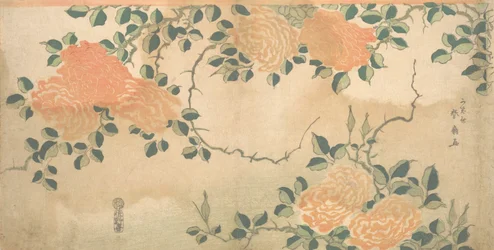 Rosen, ca. 1810