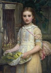 Das Kaninchen füttern