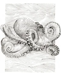 Schwarz-weiße Linienzeichnung eines Oktopus