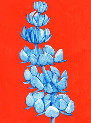 Ausdrucksstarke blaue Blüte
