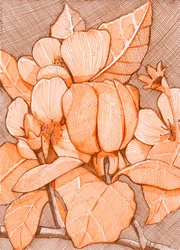 Schraffierte orangefarbene Blüten