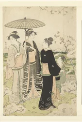 Bewunderung der Kirschblüte in Asukayama