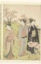 Bewunderung der Kirschblüte in Asukayama