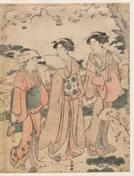 Frauen betrachten Kirschblüten in Asukayama