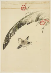 Spatz und Bananenblatt und Nelken