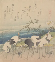 Ashi-Muschel, aus der Serie Genroku Kasen Kai-awase, 1821