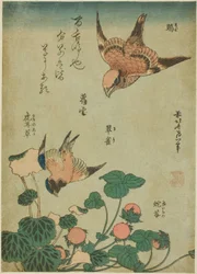 Bullenkopf-Würger und Blauvogel mit Steinbrech und Wilder Erdbeere (Mozu, ruri, yukinoshita, hebi-ichigo), aus einer unbetitelten Serie von Blumen und Vögeln